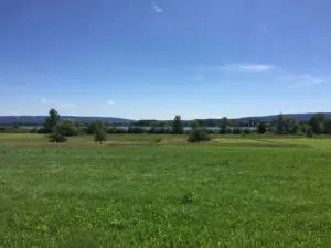 Untersee