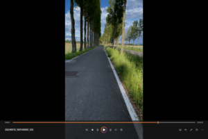 Auf der Insel Reichenau