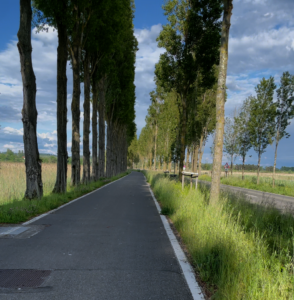 Auf der Insel Reichenau