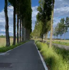 Auf der Insel Reichenau