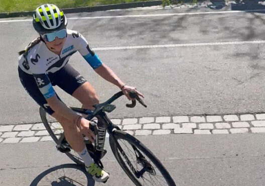 liane-mur-du-bodensee