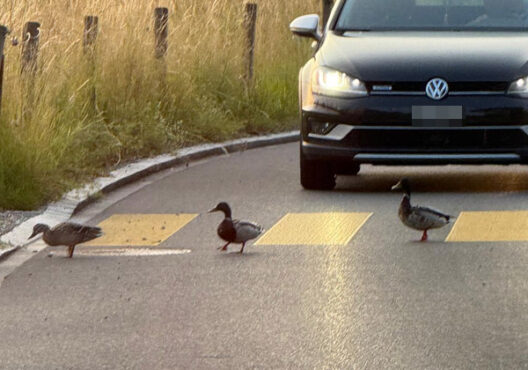 verkehr